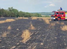 (FOTO) Hectare de grâu mistuite de flăcări la nordul țării. Fermier: Pe lângă secetă, asta ne mai lipsea